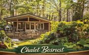 chalet bosrust nr 38
