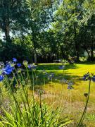 Top Sainte-Eulalie-en-Born