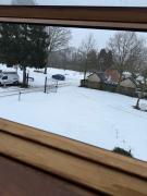 Vakantiewoning - Camping Groenpark