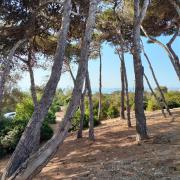 Cala Lupo, 400m dalla spiaggia