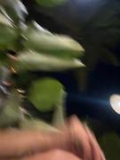 Aeroporto de Balneario apto