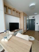 VOne Business and Comfort Apartment