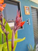 Top Hacienda Ojo de Agua