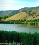 Wooden house ,,Tsunda"