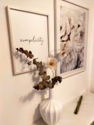 Top Baselga di Pinè