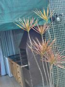 Casa Alto Padrão - Pé na areia a 1 minuto - Maresias