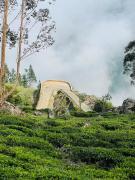 Belihuloya Fattah Camping Resort