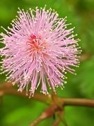 Villa Granja Agua Azul-wi-fi-AC-6 Personas-parqueo