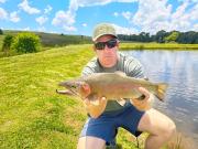 Top Dullstroom