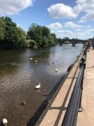 Top Bewdley