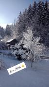 Mitzis Stubn Apartments - pets no extra cost - Bad Goisern - 24-hour self check-in