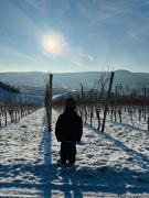 Top Bad Neuenahr-Ahrweiler
