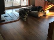 Peaceful rural setting to relax and recharge