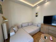 Newly Renovated 1BR Apartment and Balcony in Lush Pangrati