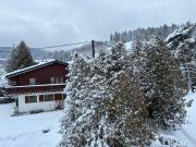 Chalet familiale au centre ville de Gerardmer