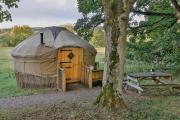 Chestnut - Yurt