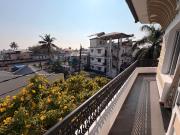 Daffodils Spice Court