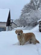 Top Basse-sur-le-Rupt