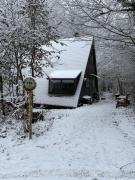 Chalet Séquoia 138 Nature, piscine et chien bienvenu à Durbuy
