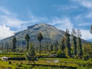 Miarzafa Cabin House DIENG