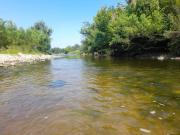 Top Anisacate Top Anisacate