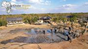Chobe Mopani Forest Lodge
