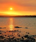 The 10th Hole - Golf Estate