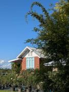 Sa Prung on the mountain - สะพรั่งกลางขุนเขา