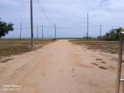 Top Kampung Penarik