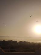 Top Tamraght Ouzdar
