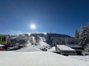 Apartments Black Horse