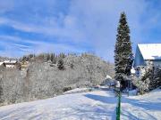 EulenHorst Ruhiges Ferienhaus am Millstätter See mit Sonnenterasse & Bergblick - Seeboden