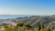 Top Torrox