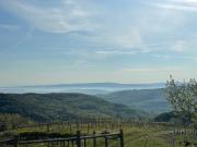 Countryhouse in Tuscany