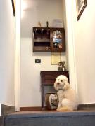 Top Gubbio