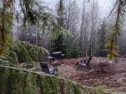 Мюзіка Карпат