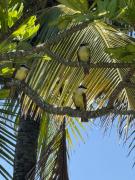 Estilo Mediterrâneo, Aconchego paraToda a Família