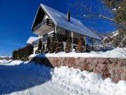 Zlatibor Tornik View