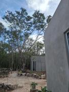 Ecolodge Xocen Birding