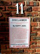 Happy Jack - Margate