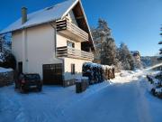 Zlatibor Tornik View