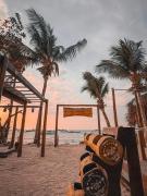 Wild Wood Beach Fitness Resort at Koh Tao