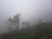 Top Yercaud