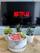 2 BR SMDC Breeze Residences