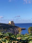 Top Xlendi
