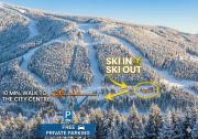 ALPINA 27 SKI IN SKI OUT FREE parking