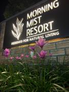 Khao Sok Morning Mist Resort