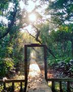 Top São Francisco do Sul