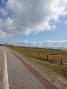 Top São Francisco do Sul