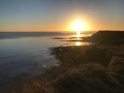 The Firs Holiday Home